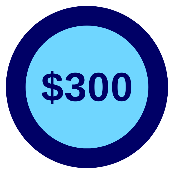 $300 Logo