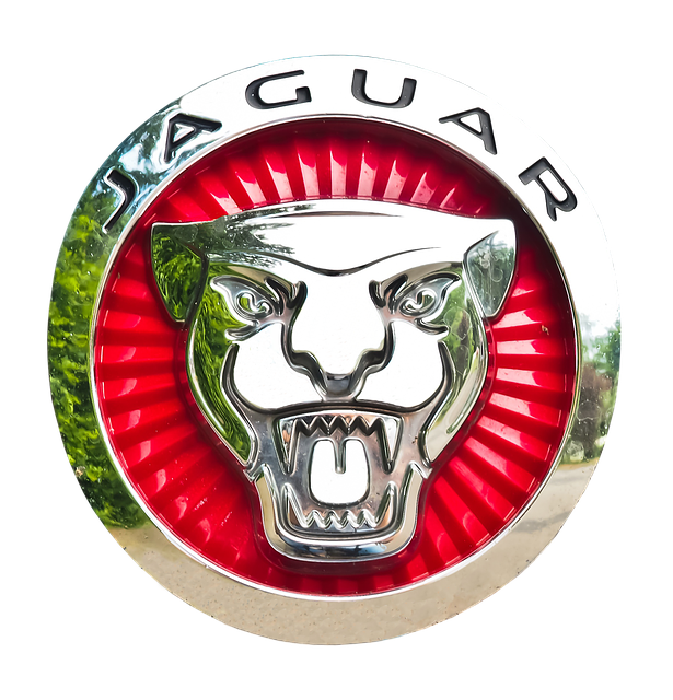 Jaguar Hood Emblem Coin